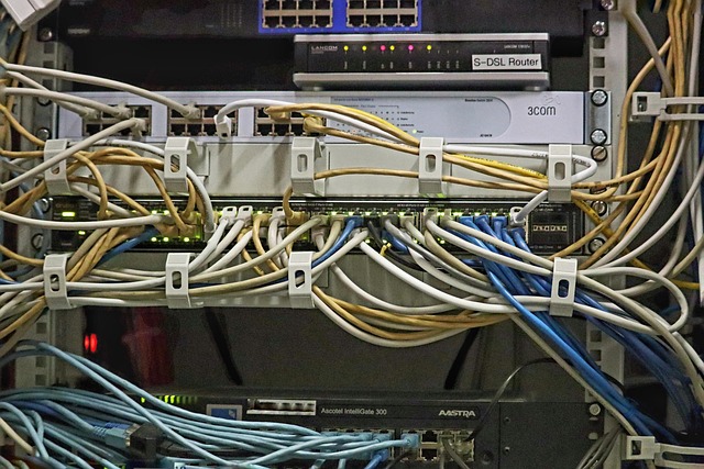 我从官网下了个Zoom，客户端、网页版都能用，教你三分钟搞定
